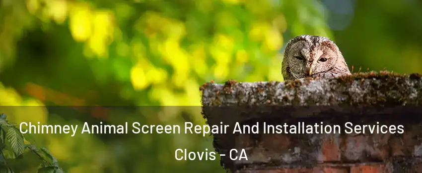  Chimney Animal Screen Repair And Installation Services Clovis - CA
