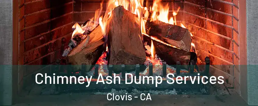 Chimney Ash Dump Services Clovis - CA
