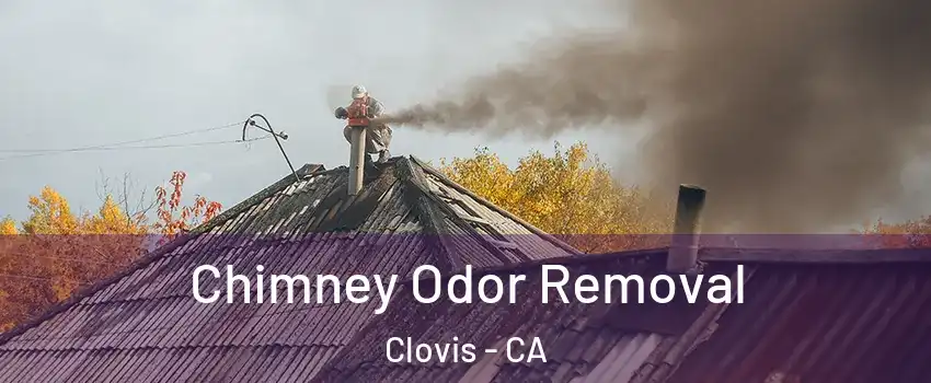  Chimney Odor Removal Clovis - CA