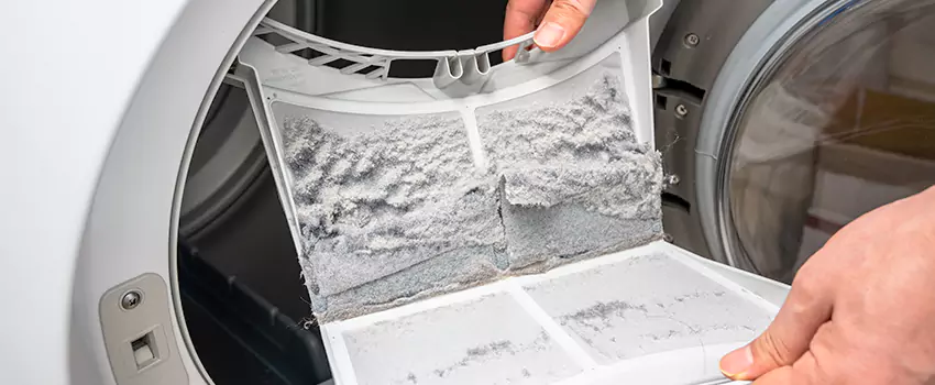 Best Dryer Lint Removal Company in Clovis, California