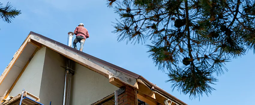 Birds Removal Contractors from Chimney in Clovis, CA