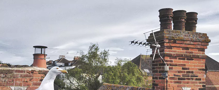 Chimney Cleaning And Restoration in Clovis, California