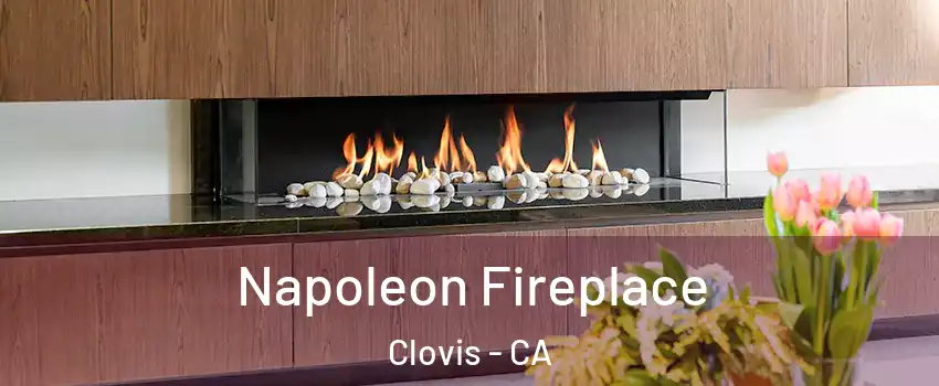  Napoleon Fireplace Clovis - CA