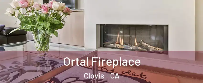 Ortal Fireplace Clovis - CA
